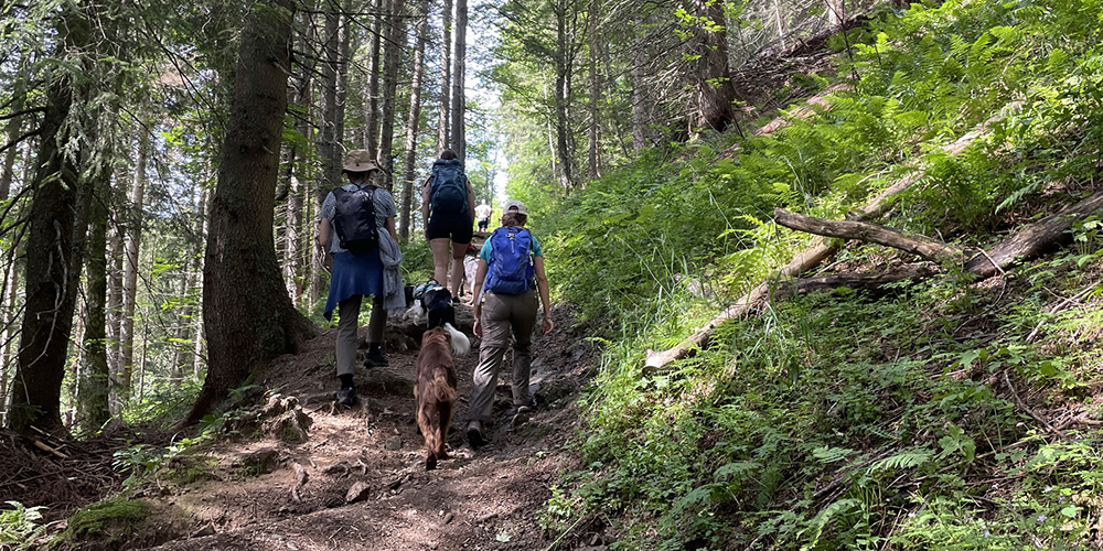 Hiking in Les Paccots