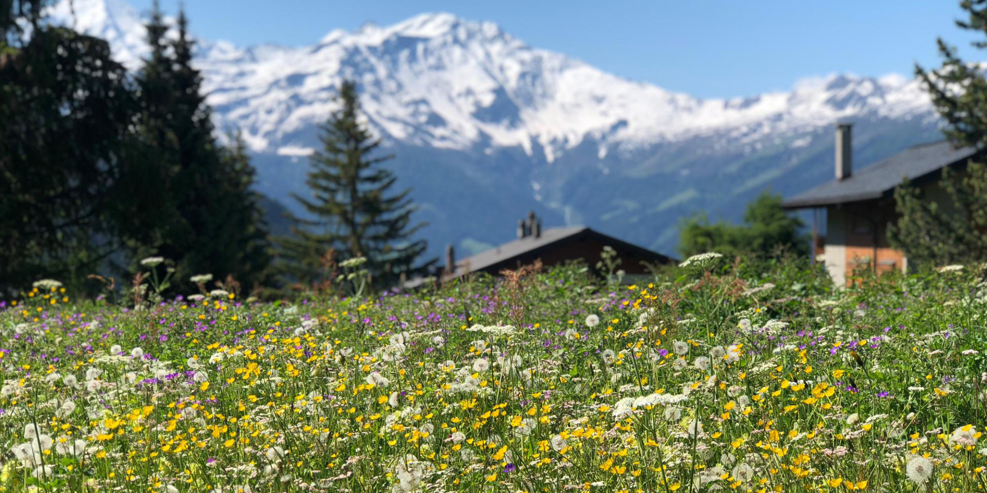 Le Hameau de Verbier